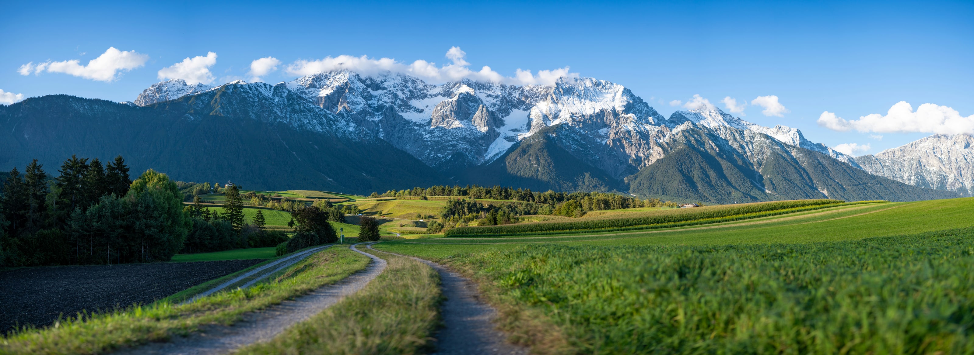 A dirt track through green alpine pasture leading toward snow-covered mountain peaks.