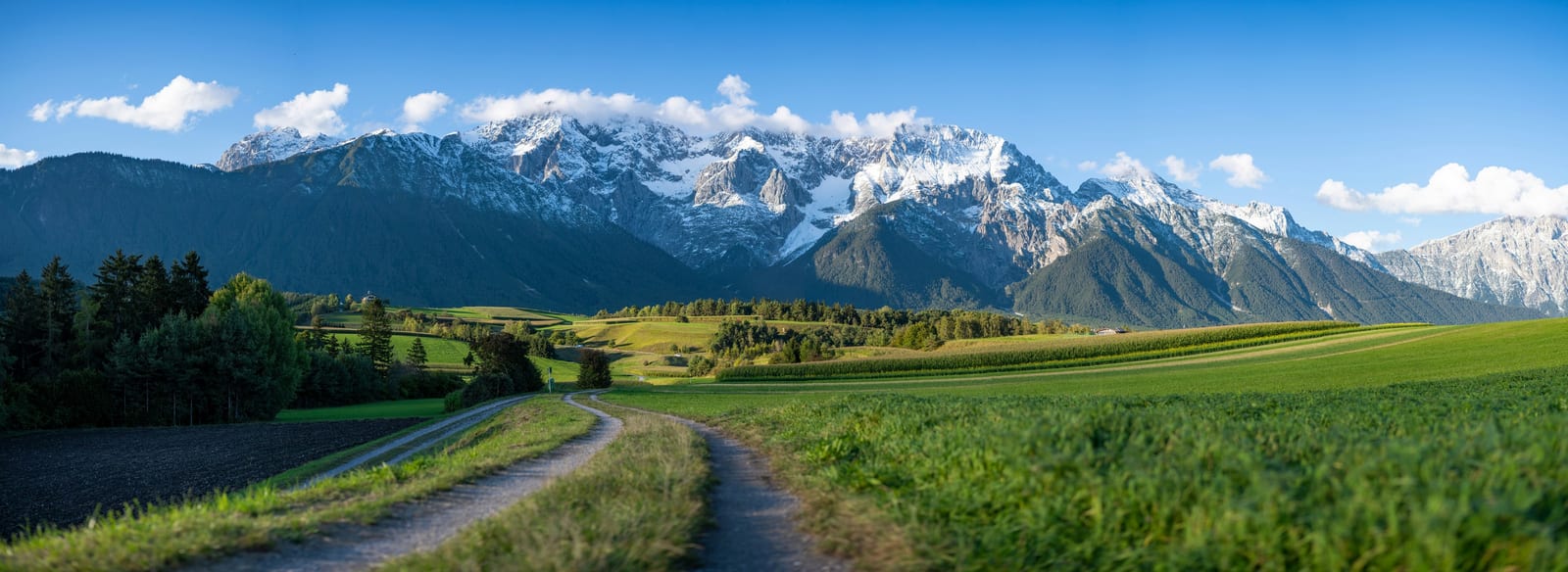 A dirt track through green alpine pasture leading toward snow-covered mountain peaks.