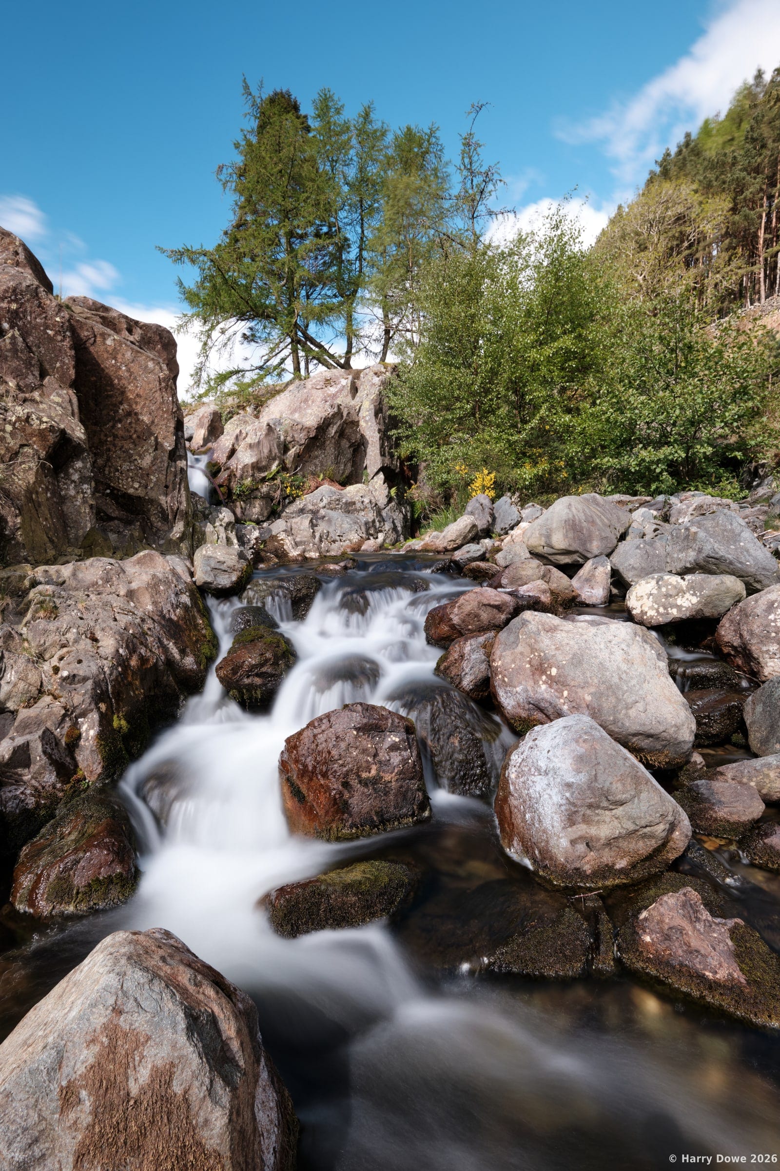 Vertical long exposure shot of a white water stream cascading down a rocky bed framed by sunlit pine trees under a clear blue sky
