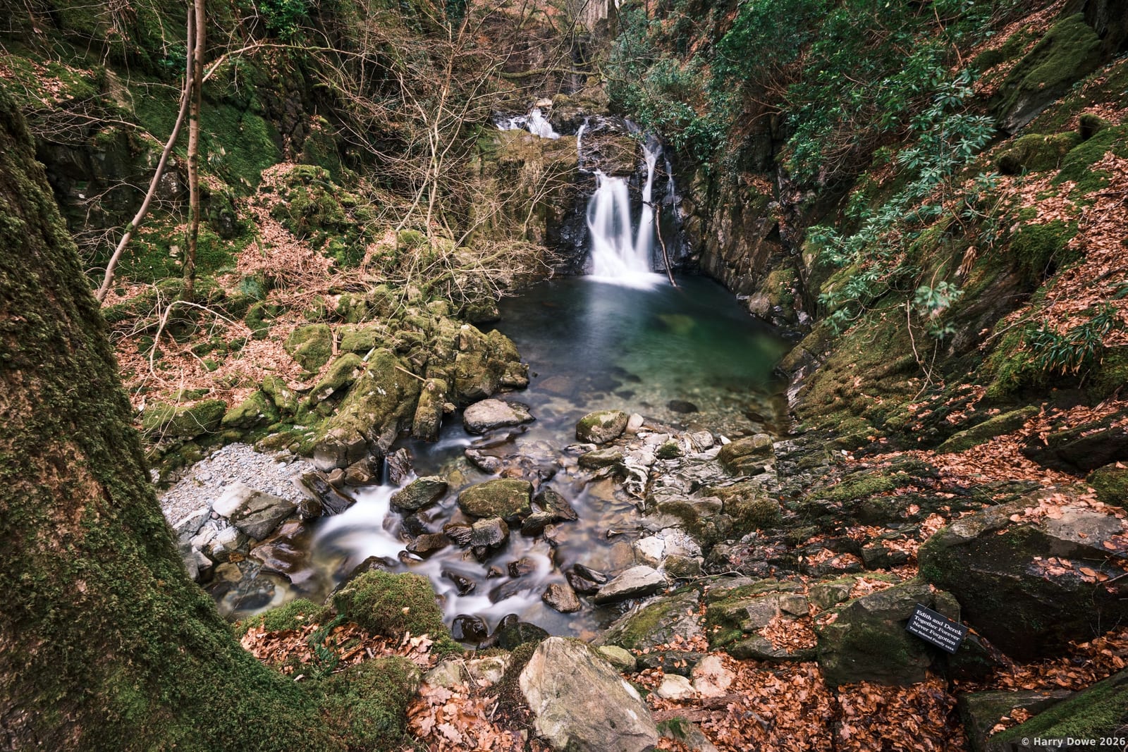 High angle perspective of a natural forest waterfall pouring into a deep green pool surrounded by mossy rocks and scattered autumn leaves
