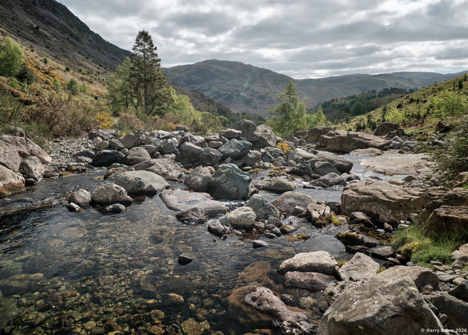 Crystal-clear shallow river filled with smooth boulders flowing through a lush mountain valley framed by pine trees and distant slopes