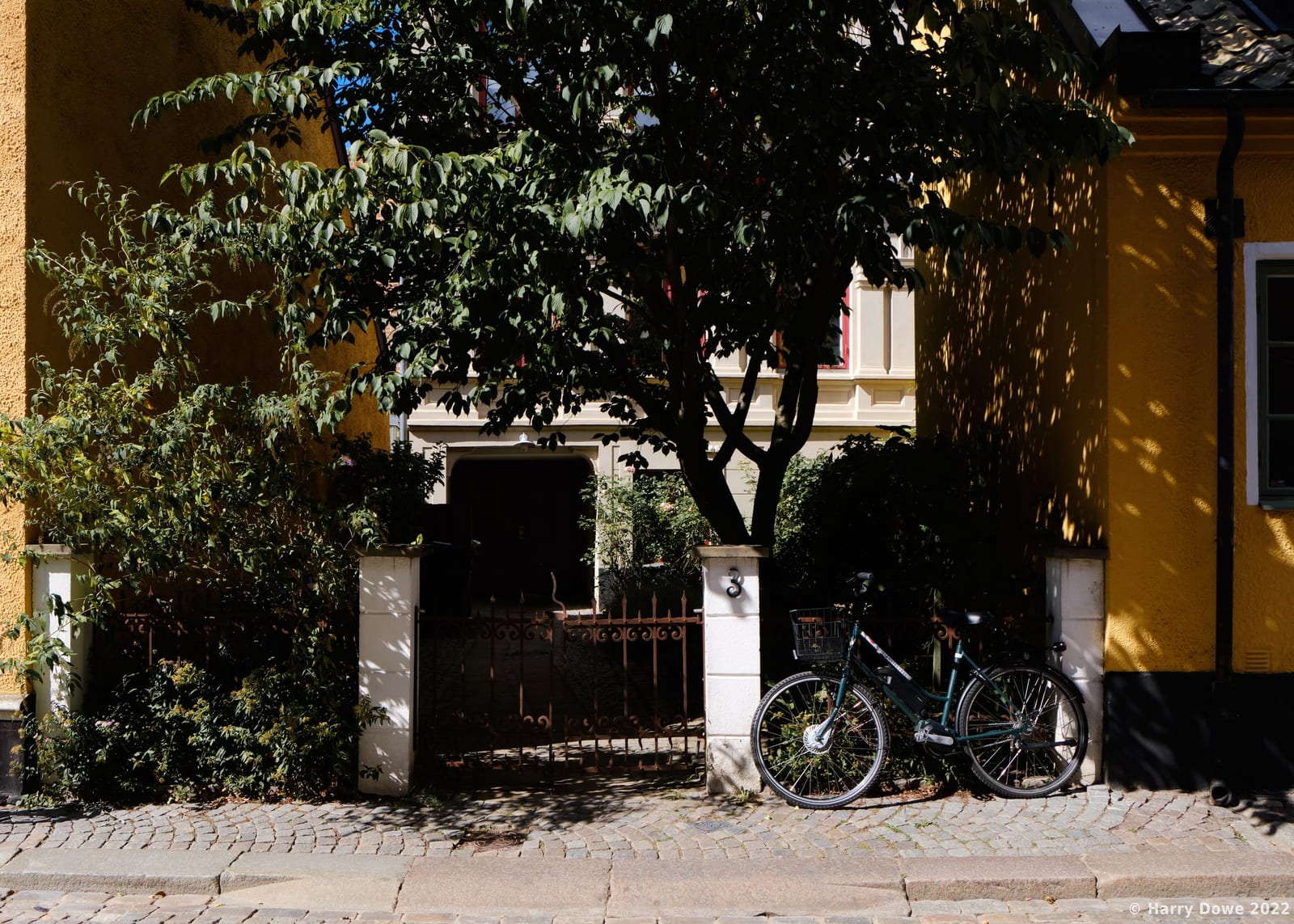 Dark green bicycle parked beside a gated courtyard entrance shaded by a lush leafy tree along a cobblestone street with warm yellow buildings