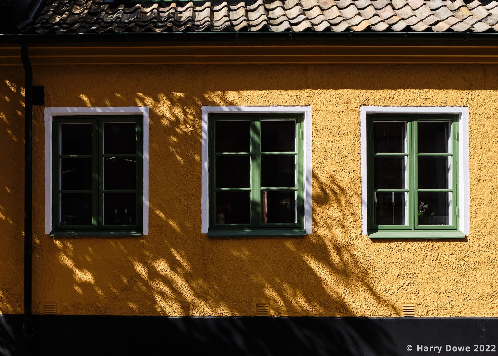 Three green-framed glass windows set in a bright ochre yellow stucco wall dappled with leafy tree shadows under a clay tile roof