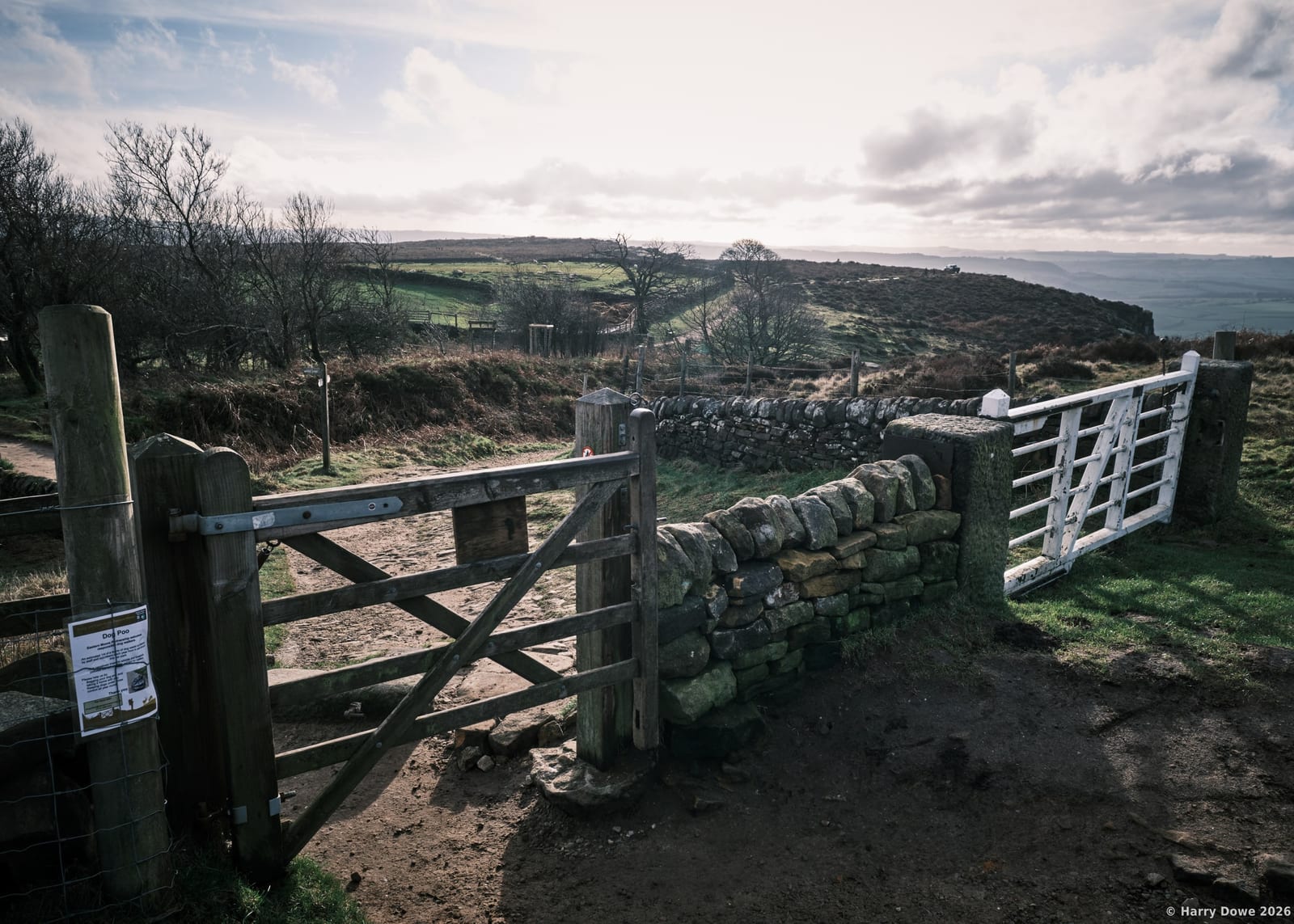 Wooden trail gate set into a drystone wall leading toward rolling hills and open fields under a soft cloud-covered sky.